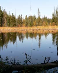 Castlegar_7